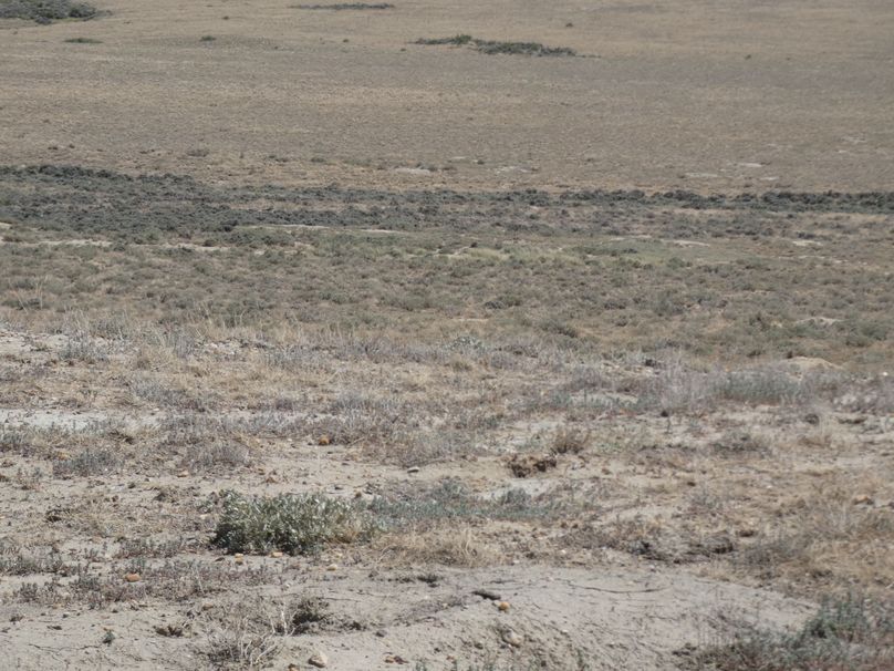 3671c284-bc61-45a0-b3f1-98a8d553ee6d