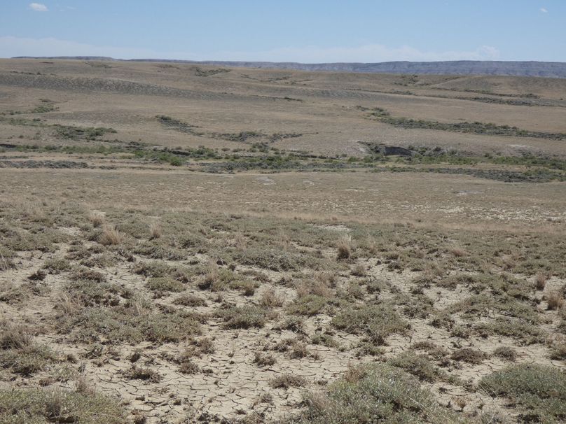 3ba9ed10-be48-4f67-94e1-8153c1e5e279