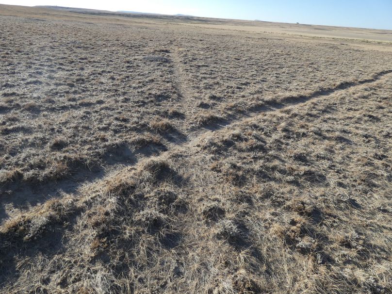 464f34a7-a111-4b51-9f13-d777cd73139d