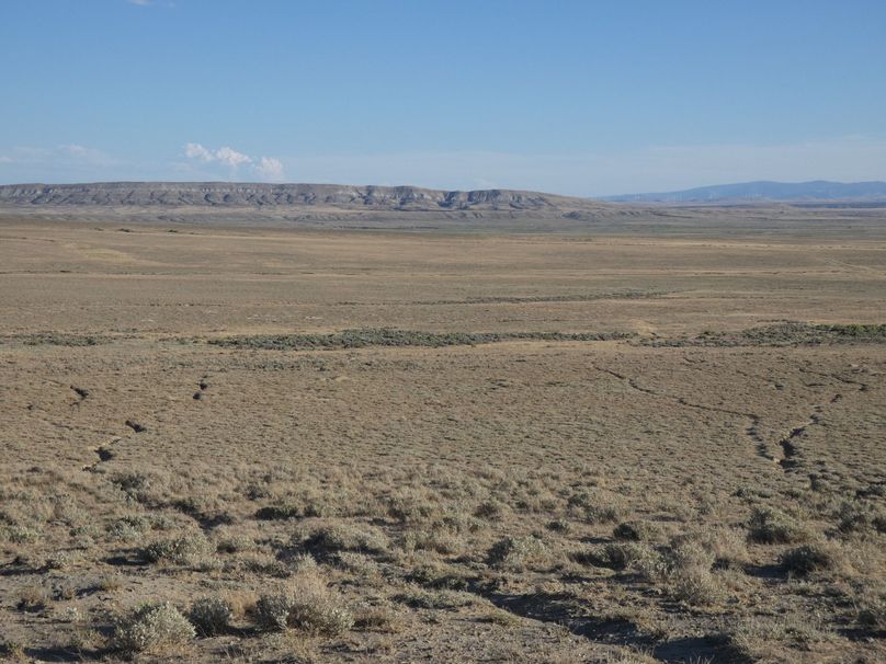 57312f0a-0dd5-44a7-96c9-b5163432138c