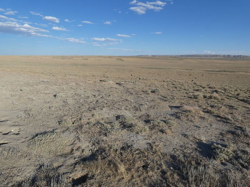 74710312-5ea4-413f-8fe0-104fa2d1a96b