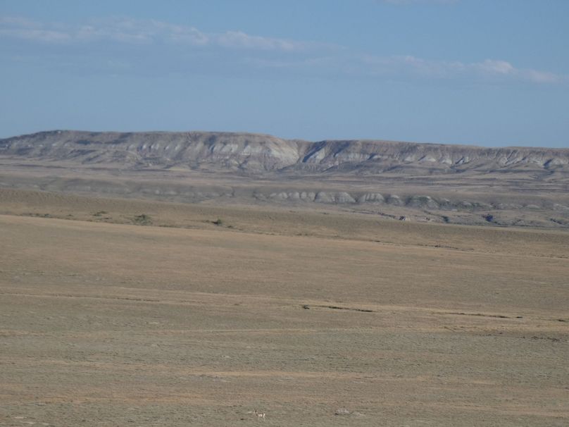 7f072f81-6e61-4a3a-aafb-8f29dcddd5b2