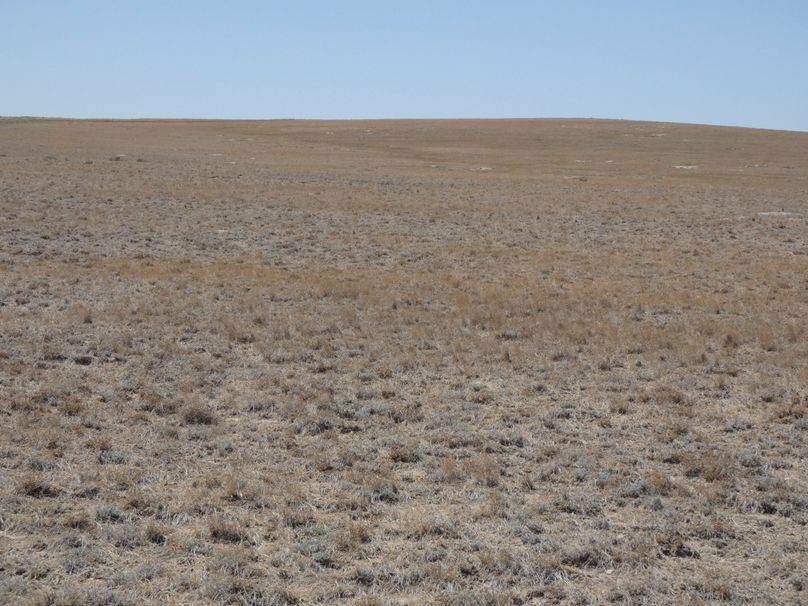 8f80da4b-a92f-4278-a5aa-83a31d1810d4