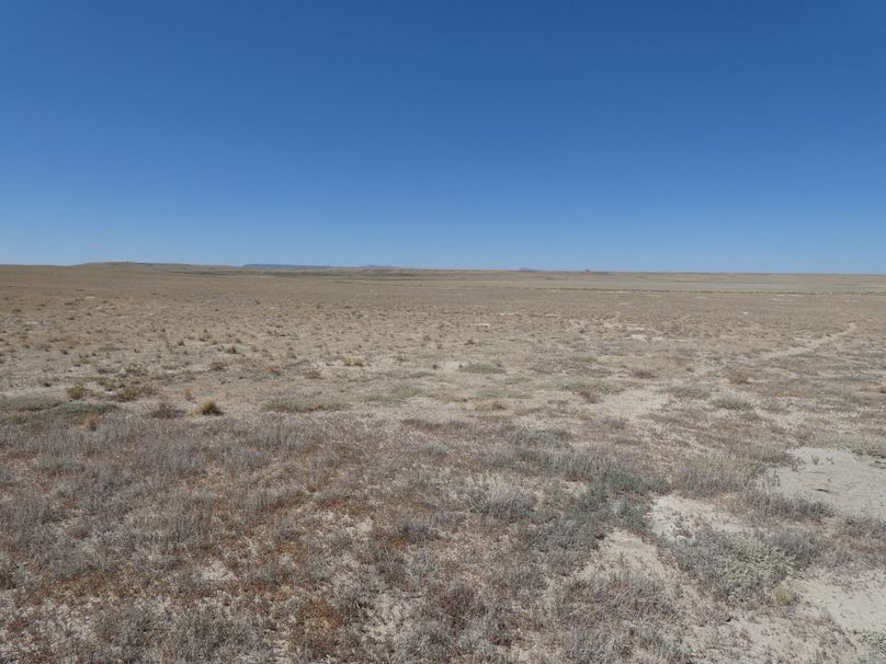 9e8ccaaa-76be-43f2-a50b-0f64f3754b94