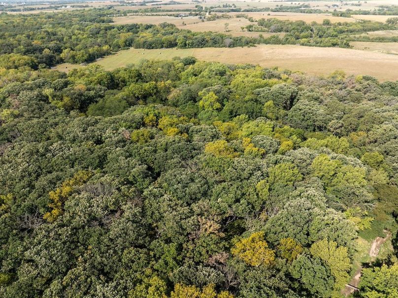 20240913-DJI_20240913110119_0136_D