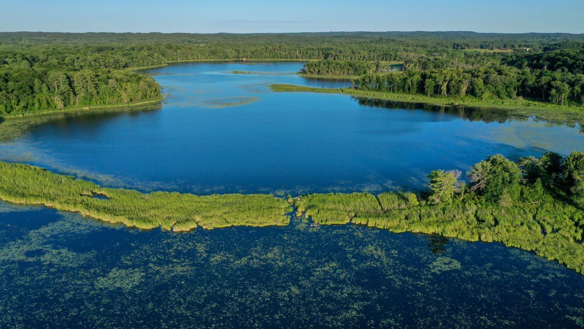 An Elite MN Property With Private Lake, Home And Outbuildings