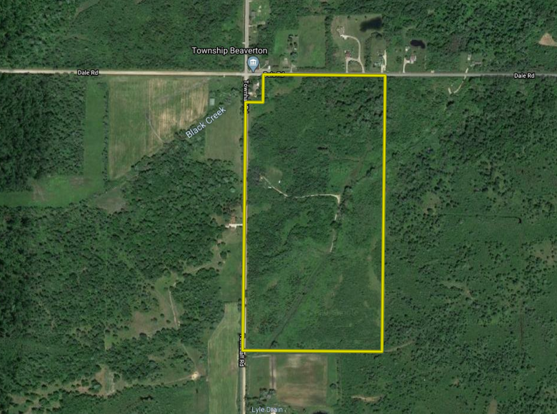 Screen shot 2020-07-29 at 1.45.14 pm