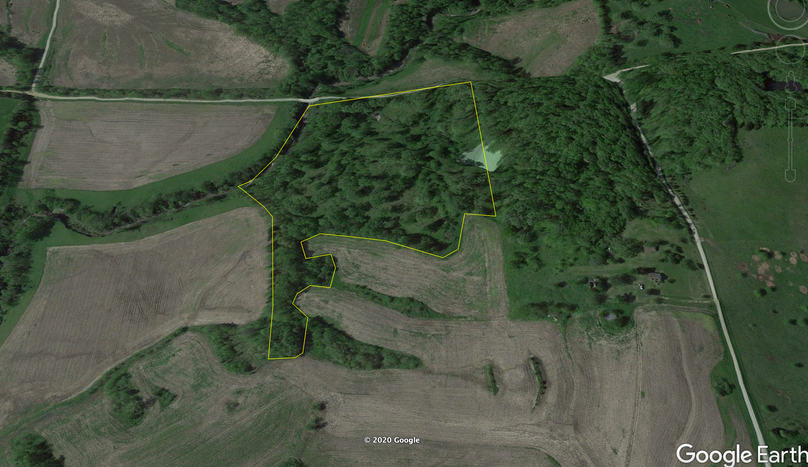 Screen shot 2020-08-05 at 11.12.54 pm