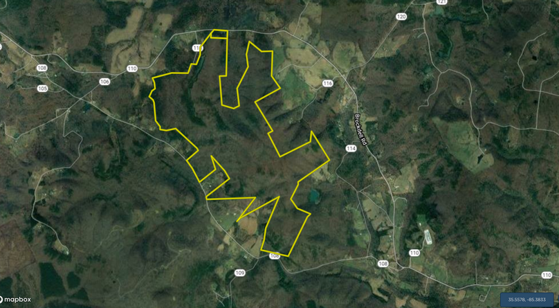 Screen shot 2020-07-31 at 9.54.35 am