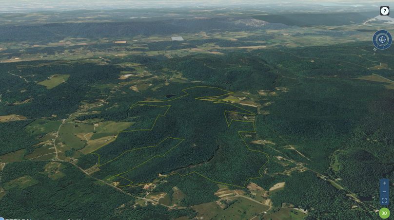 Screen shot 2020-07-31 at 9.55.24 am