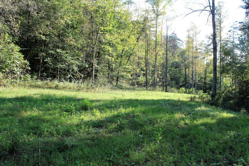 004 small field behind the cabin, perfect for a food plot