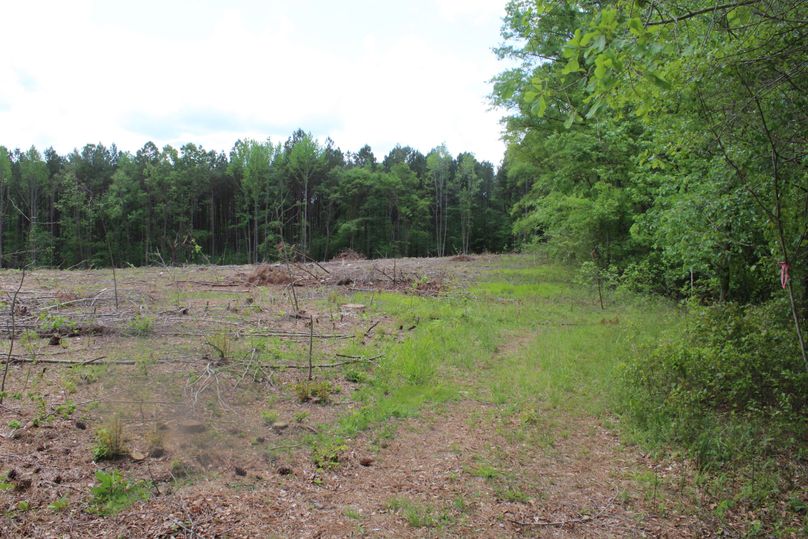 Q29weSBvZiBpbWcgNjUzNQ==