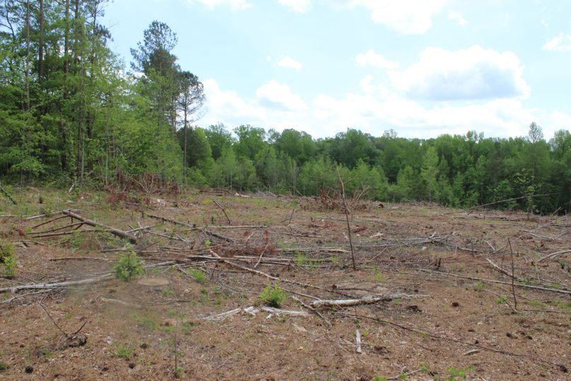 Q29weSBvZiBpbWcgNjUzNg==