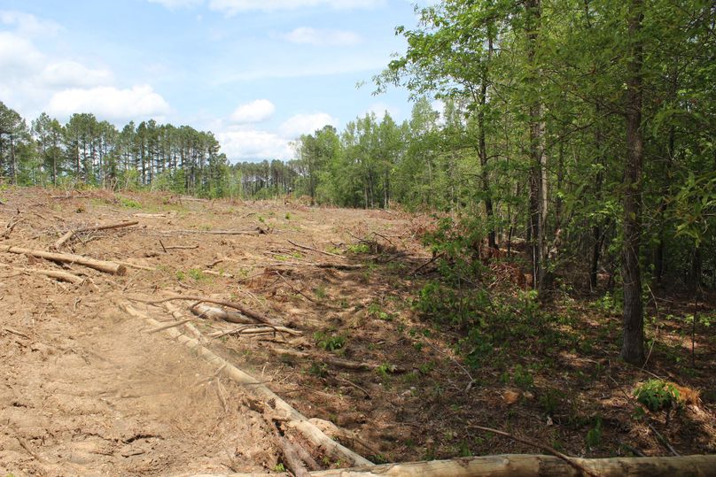 Q29weSBvZiBpbWcgNjU0MQ==