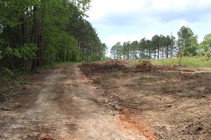 Q29weSBvZiBpbWcgNjU0Mg==