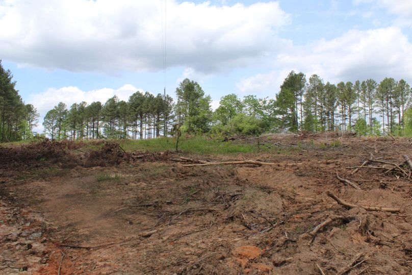 Q29weSBvZiBpbWcgNjU0Mw==