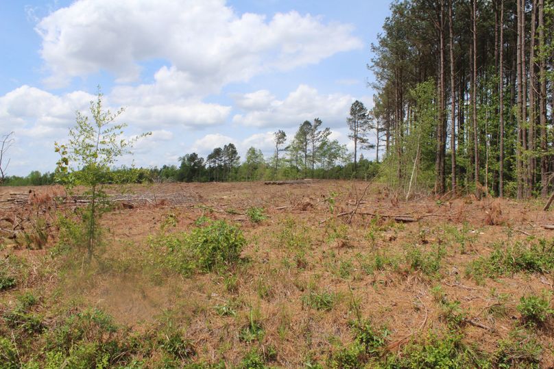 Q29weSBvZiBpbWcgNjU0NA==