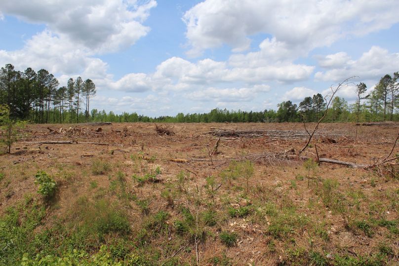 Q29weSBvZiBpbWcgNjU0Ng==