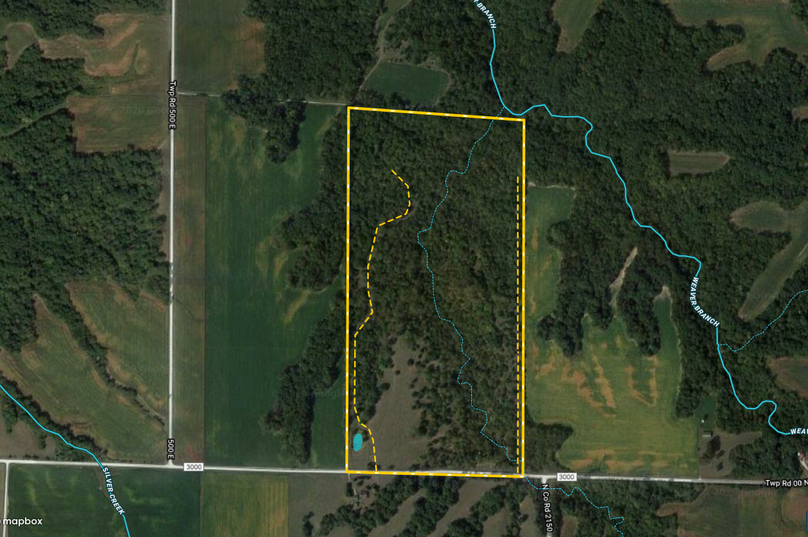 Screen shot 2020-08-05 at 11.31.04 pm