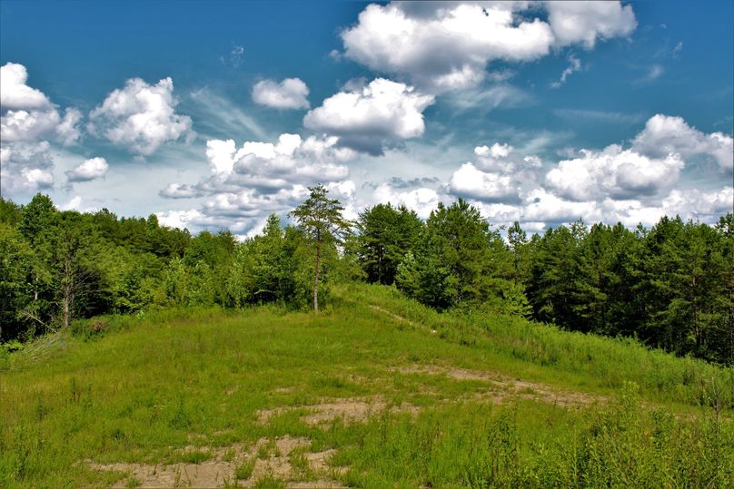 001 beautiful cleared flat near the central portion of the property