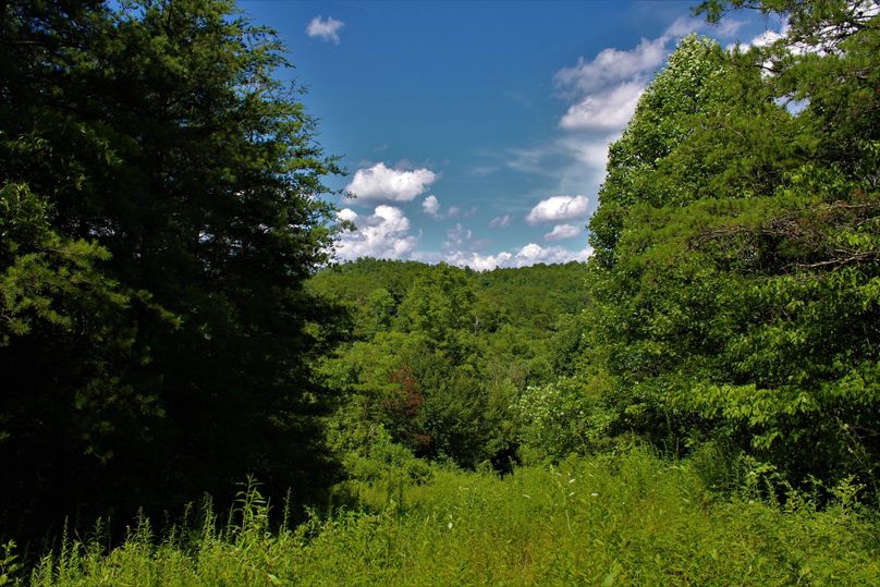 006 beautiful view looking north from the northeast corner
