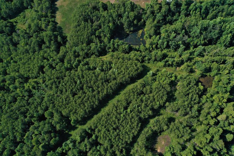 008 overhead drone view looking down on the northeast pond