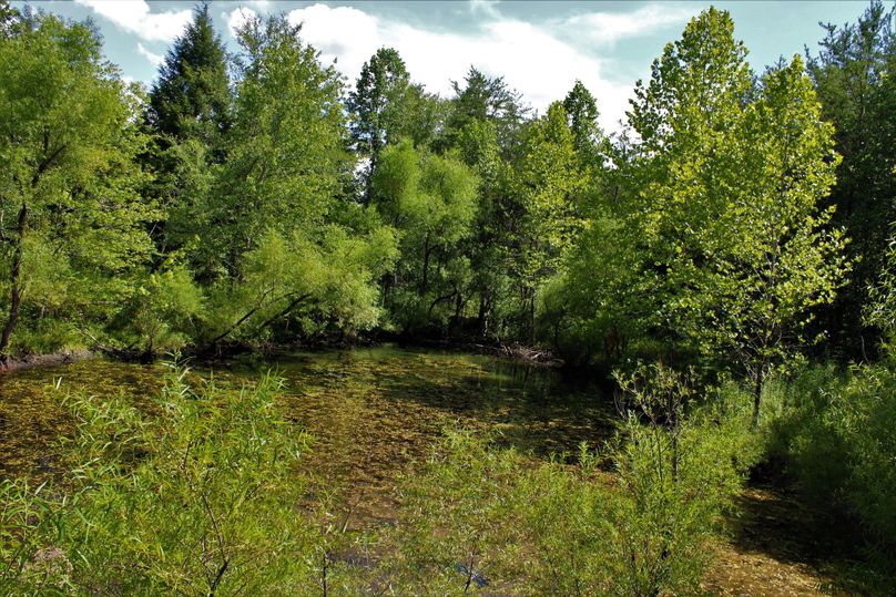 012 another 1 of 8 ponds, this one being the eastern most