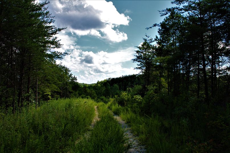 017 looking west down the central gravel road