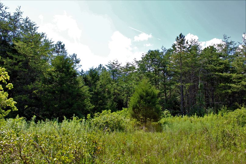 015 cleared flat along the north central part of the property