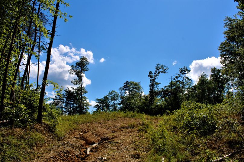 016 cleared flat a short distance from the east gated entrance