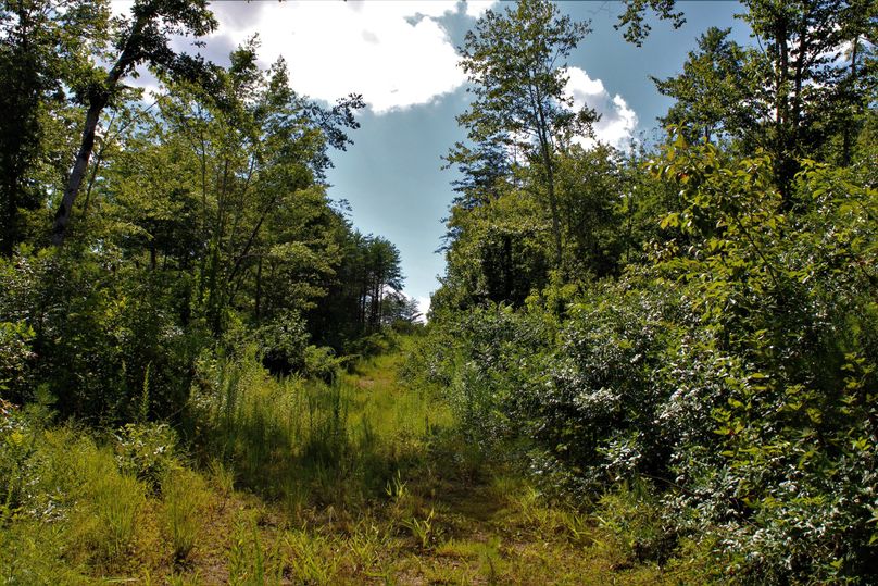 019 looking west along the dirt path leading to the gravel road