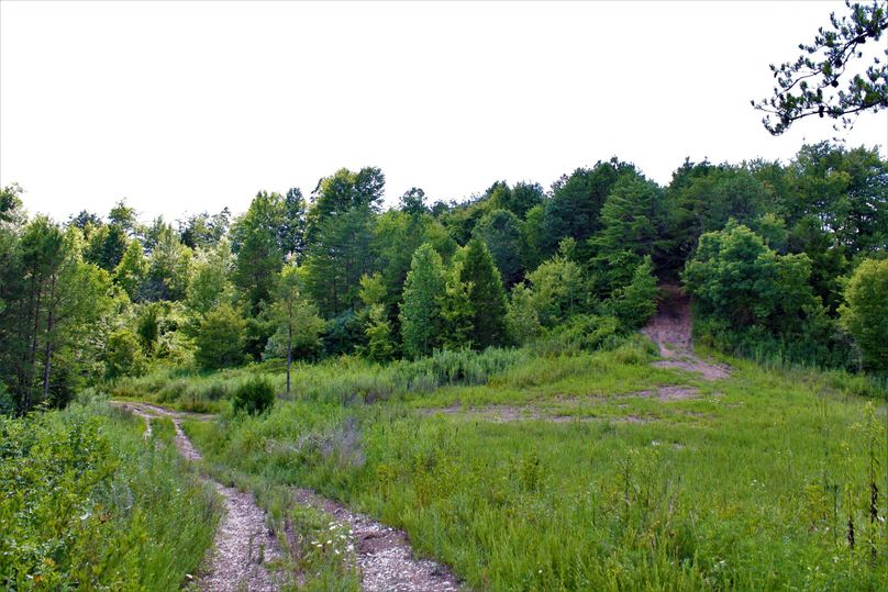 020 cleared flat just north of the west entrance