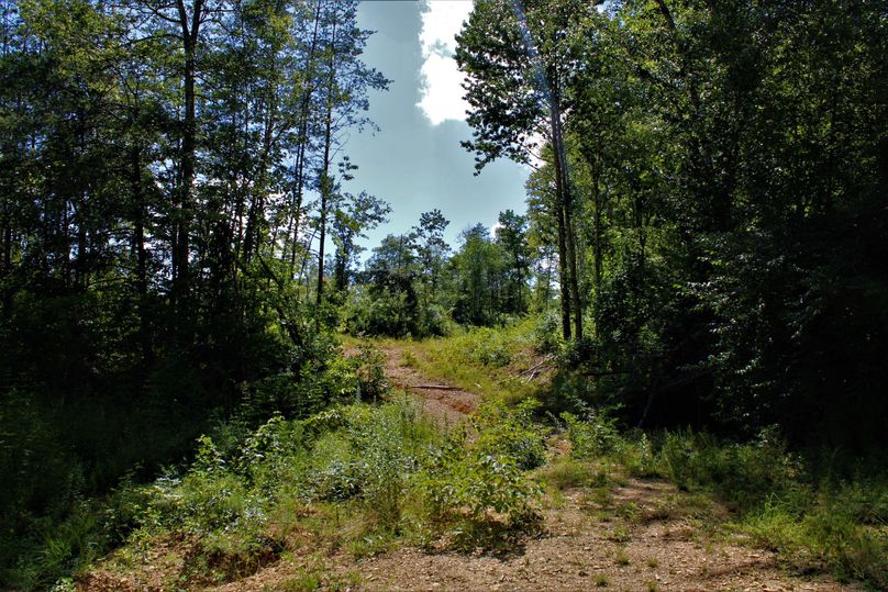 022 cleared flat just north of the gated eastern entrance