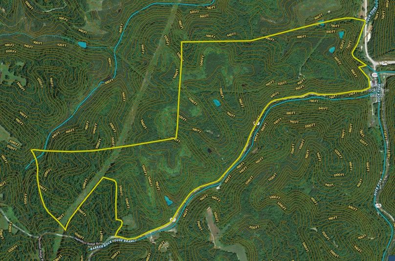 025 lee 212 mapright zoomed in with contour lines