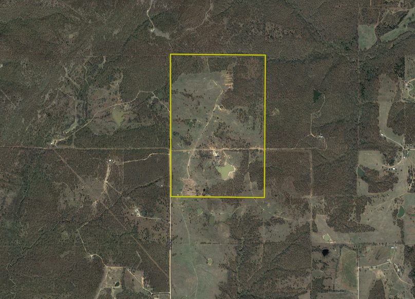 Screen shot 2020-08-07 at 2.25.04 pm