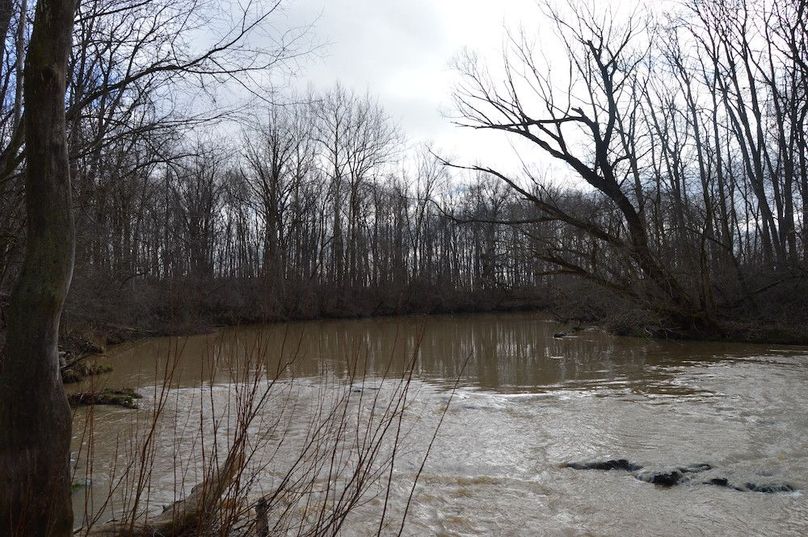 wolf creek looking east