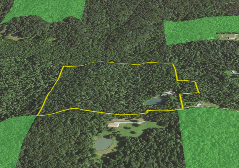 Screenshot 2023-06-26 at 10.54.00 AM