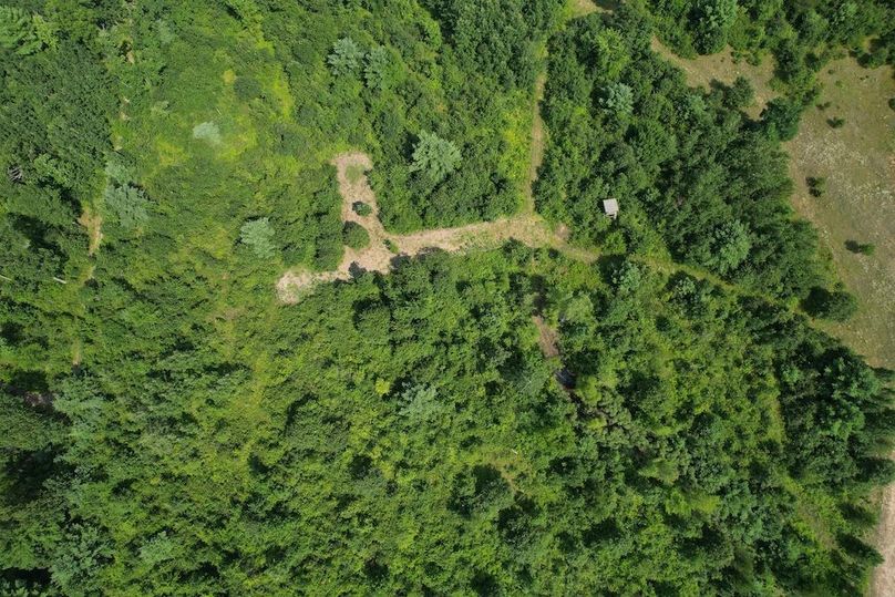 dji_fly_20250805_150248_199_1754424644086_photo