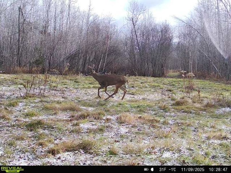 864049056287651-40-4-11092025102846-W1000413