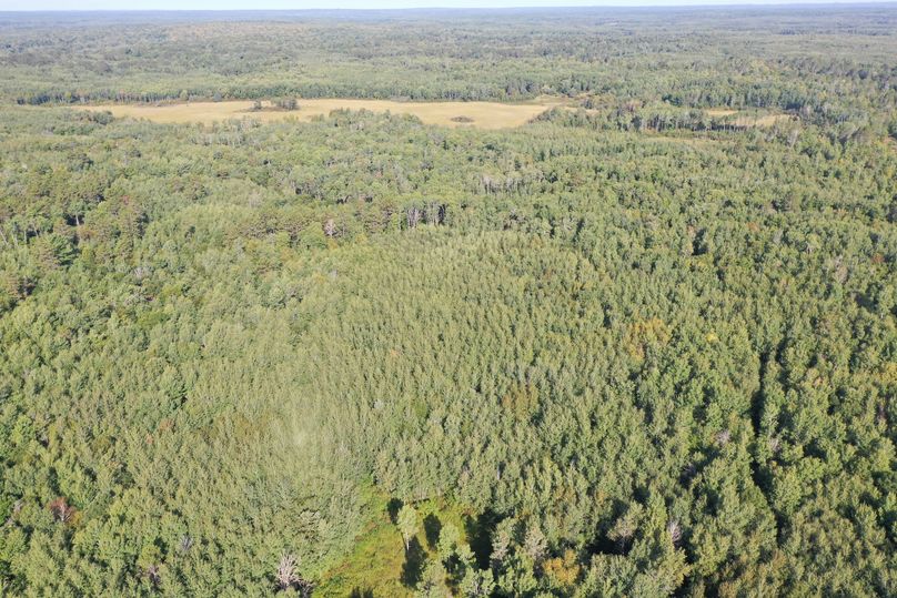 Org 56f4e283303976f3 1599841330000