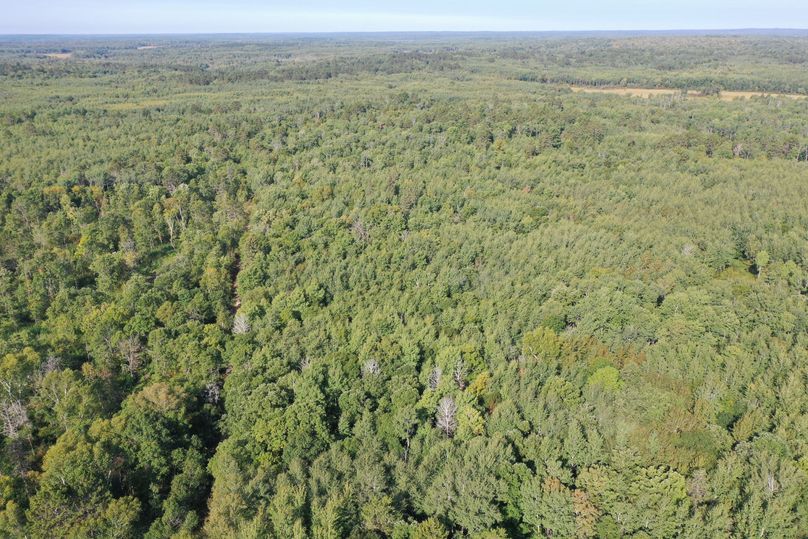 Org 02e0c102ed030159 1599841278000