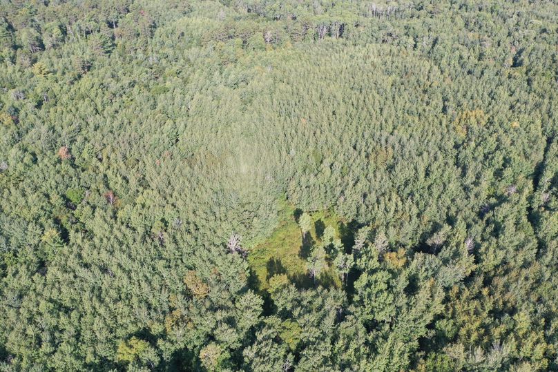 Org 06222abe5ba4f345 1599841322000