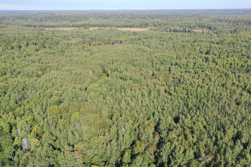 Org 3c9f6ea6a3f2bd10 1599841284000