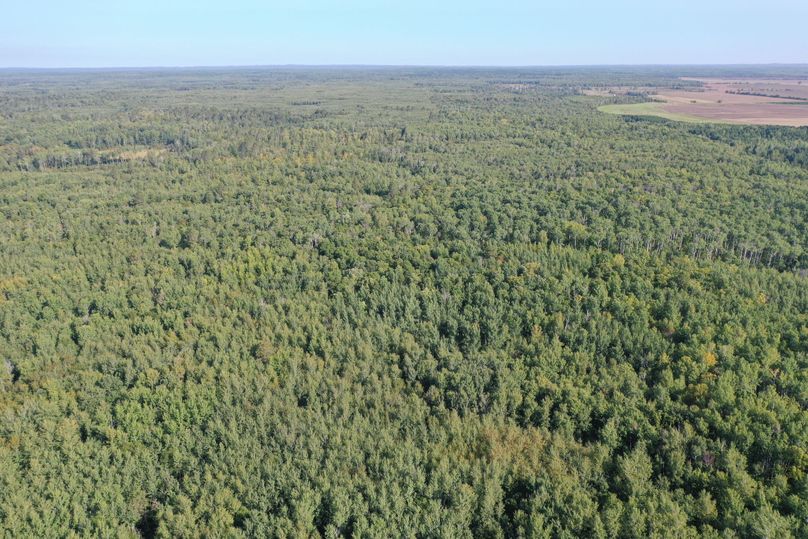 Org ad3b25d8ec7eedd5 1599841300000