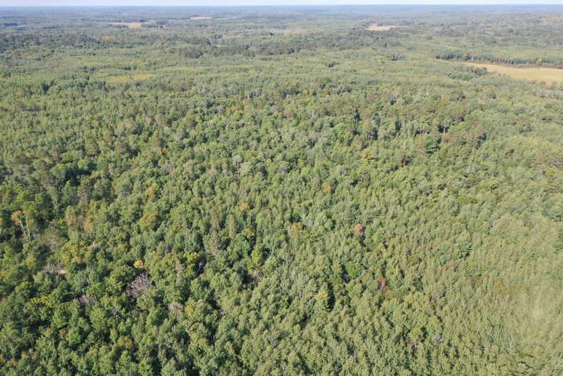 Org cd6f06242e9f1406 1599841336000