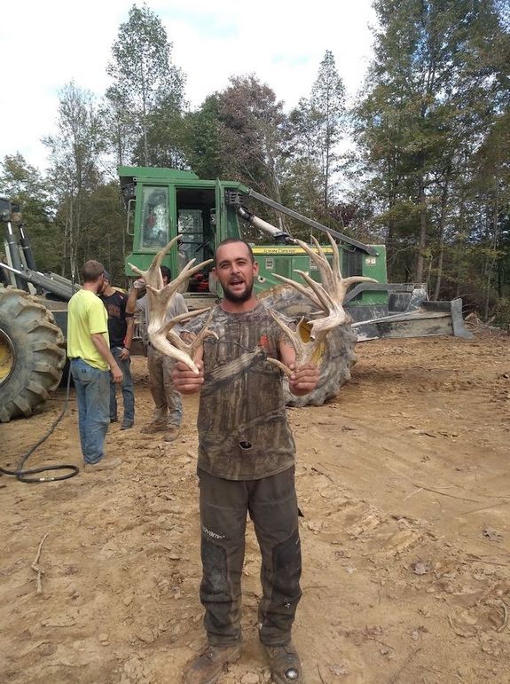 Screen shot 2020-09-14 at 11.18.34 am copy