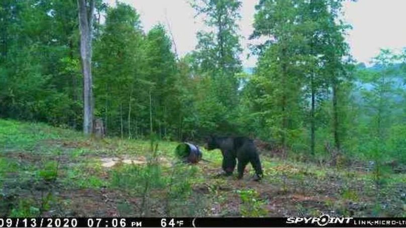 Screen shot 2020-09-14 at 11.18.55 am copy