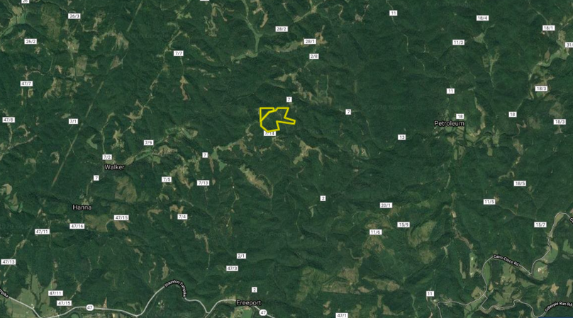 Beha - 113 acres - wirt county wv - distant aerial