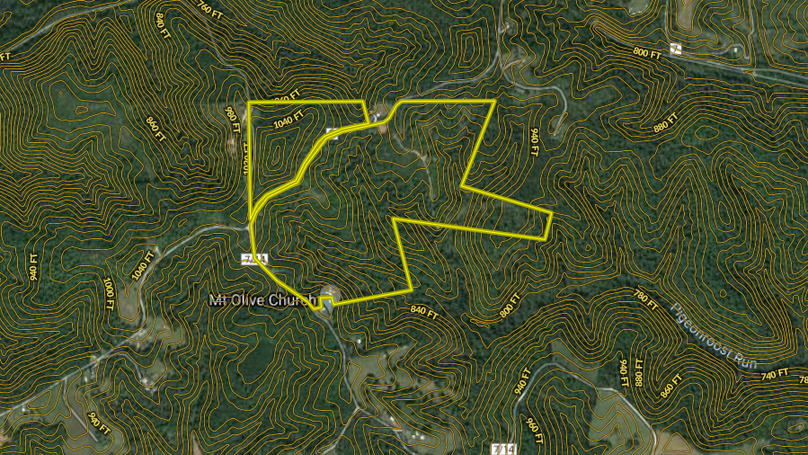 Beha - 113 acres - wirt county wv - topo close up