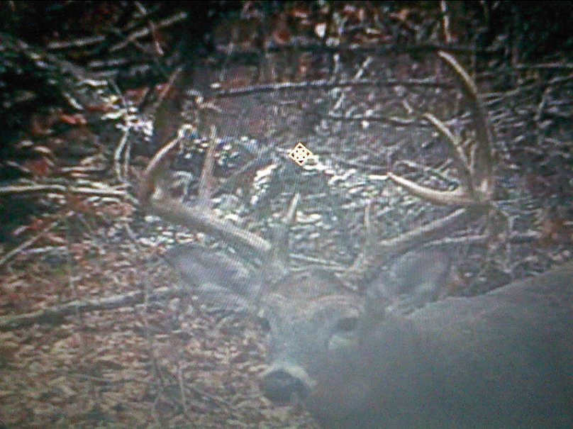 Screen shot 2020-09-30 at 10.39.59 am